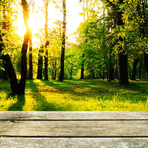 ๐ Saisonende 2025 im Gartenpark Hasenheide